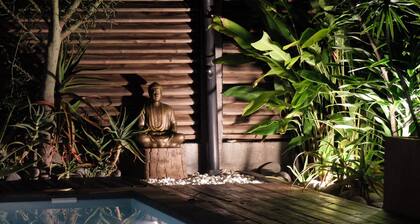 Modern architect villa with swimming pool and lush garden