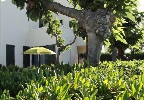 A building with a white exterior, surrounded by lush green plants and a tree with a textured trunk.