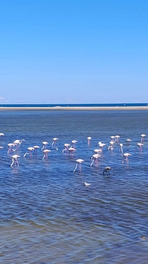 På stranden
