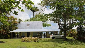 A house with a corrugated metal roof, surrounded by lush greenery and a parked car.