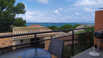 Ărea da propriedade