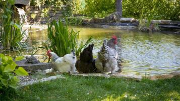 Enceinte de lâhĂ©bergement