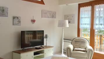 Televisión, chimenea, reproductor de DVD y libros