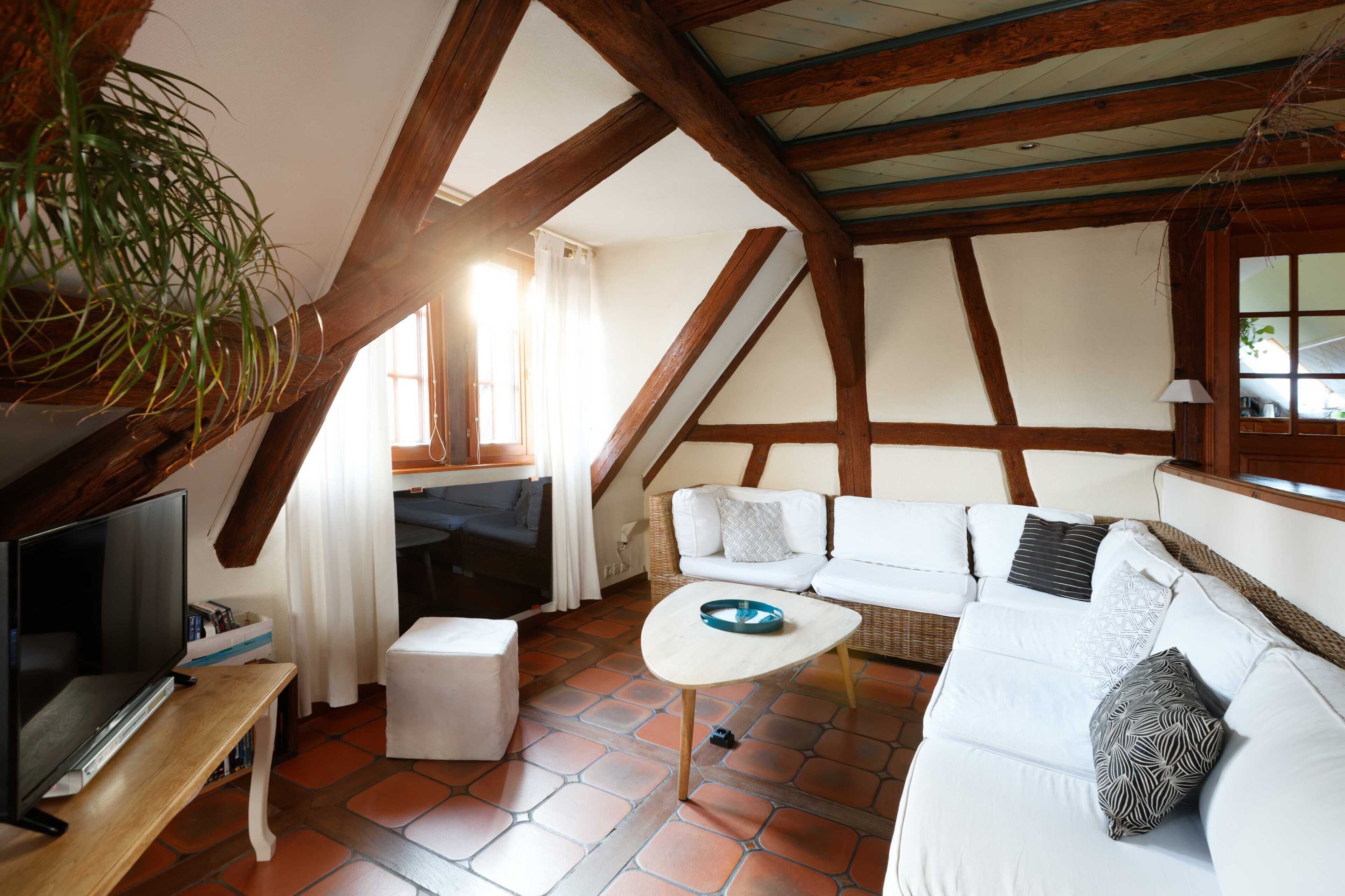 Télévision, lecteur de DVD, livres, médiathèque