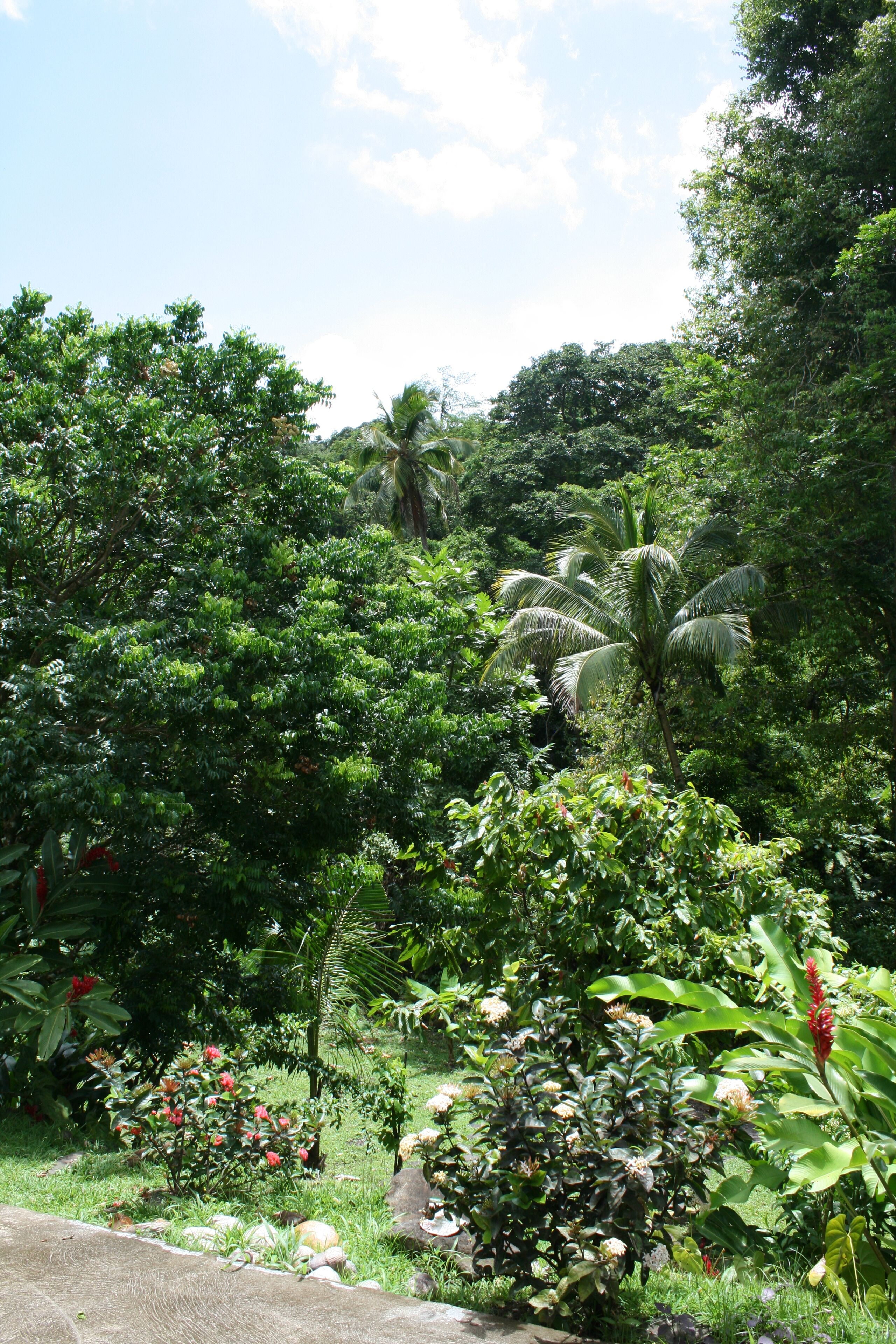 Overnatningsstedets område