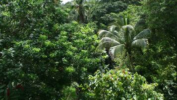 Overnatningsstedets område