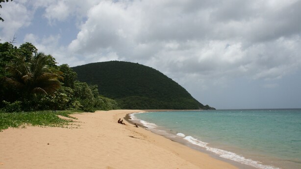 Une plage avec un rivage sablonneux, une eau turquoise et limpide, et une colline verdoyante en arrière-plan.