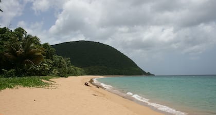 Family villa with Creole garden, river and tropical forest in Pointe Noire