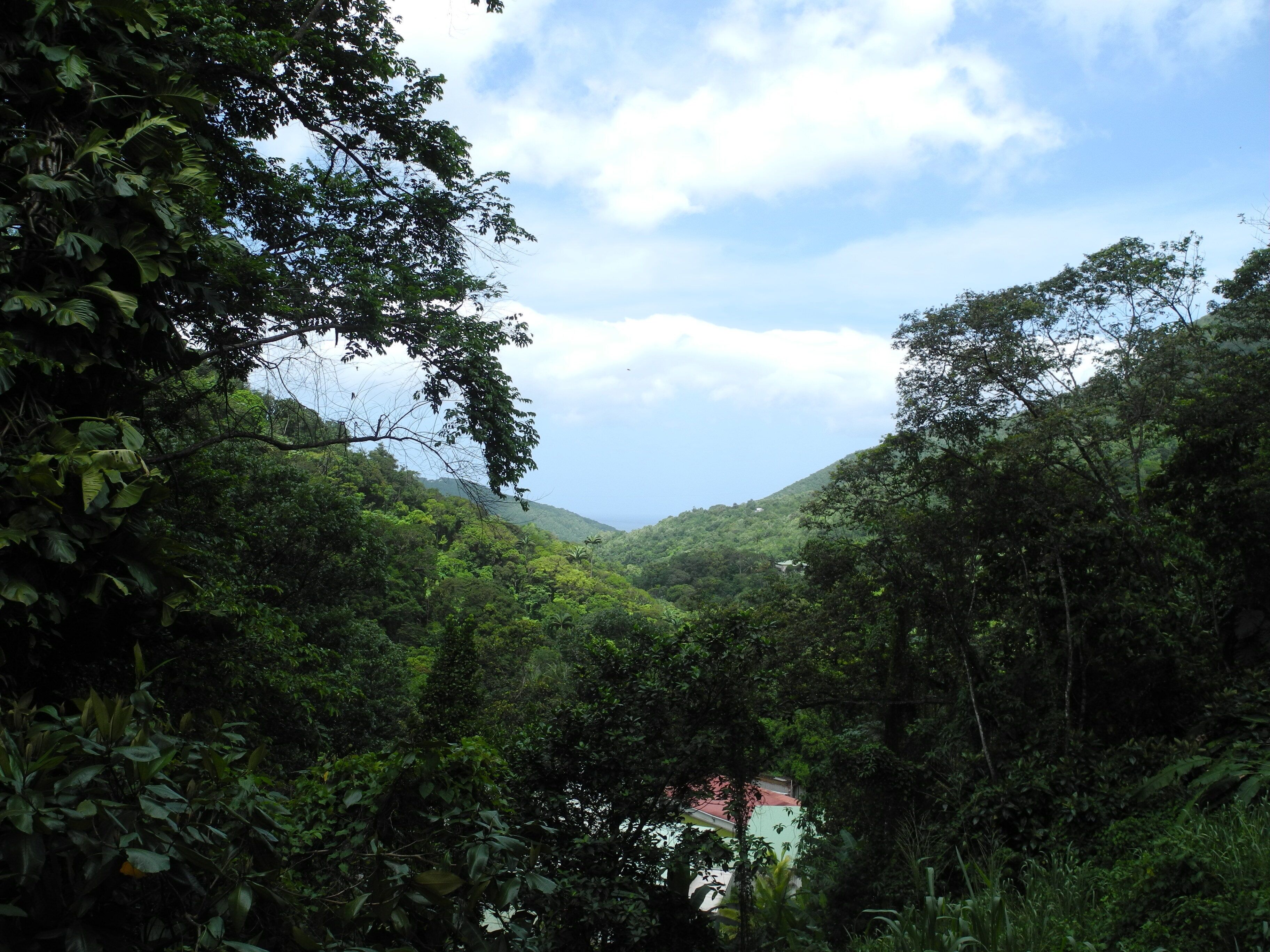 Ein üppiges, grünes Tal mit dichter Vegetation und ein Gebäude mit rotem Dach in der Ferne.