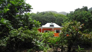 Une maison entourée d’une végétation luxuriante et d’arbres.