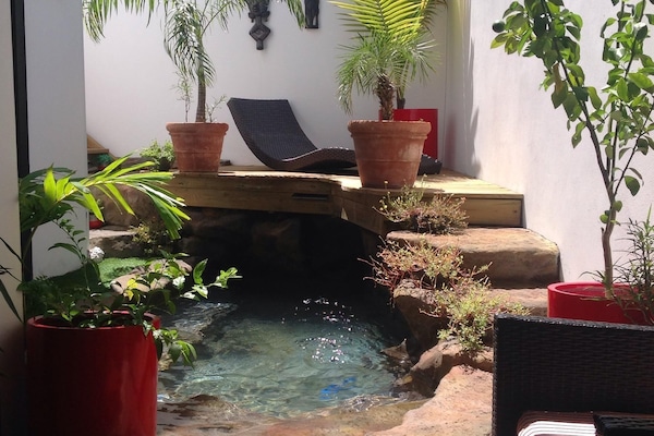 Jacuzzi-piscine