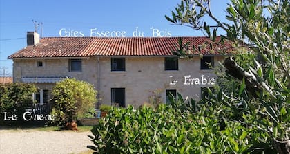 Very nice gîte for 10 people 8 mins from Futuroscope