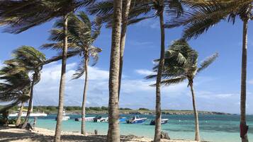 Plage à proximité, serviettes de plage