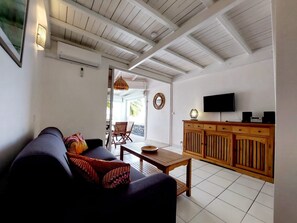 智能電視、書籍