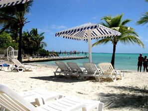 在海灘附近、沙灘巾