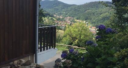 Chalet in the heart of the Ballon des Vosges with exceptional panoramic views
