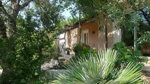 A garden with a stone pathway, a large yucca plant, and a building with a beige facade and a door. - PROMOTION summer: from 13/07 to 20/07 and 17/08 to 24/08 945 euros instead of 1500 eur (Verzeille)