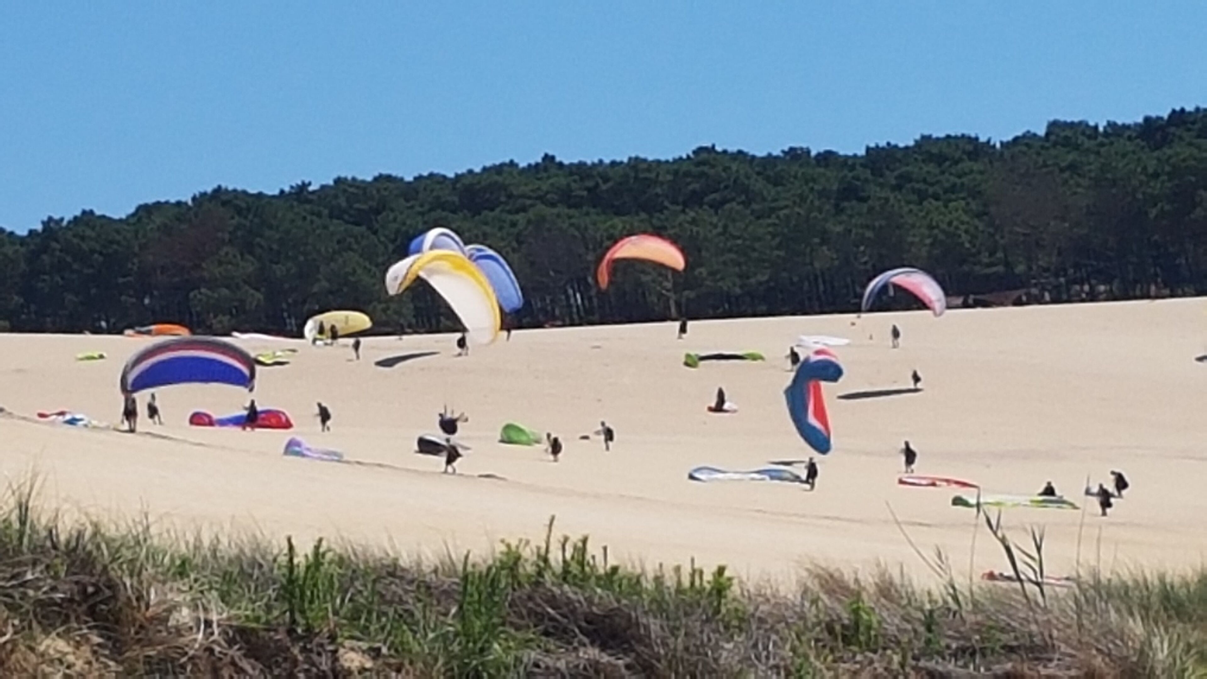 A beach with multiple colorful kites and people engaged in kite flying activities.