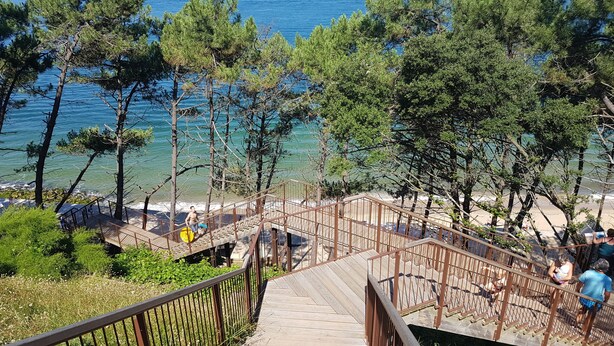 Een houten trap die naar een strand leidt, met helderblauw water, omgeven door bomen.