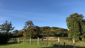 Paisaje rural con cielo despejado, un campo cercado y una colina con árboles al fondo.