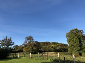 Paisaje rural con cielo despejado, un campo cercado y una colina con árboles al fondo.