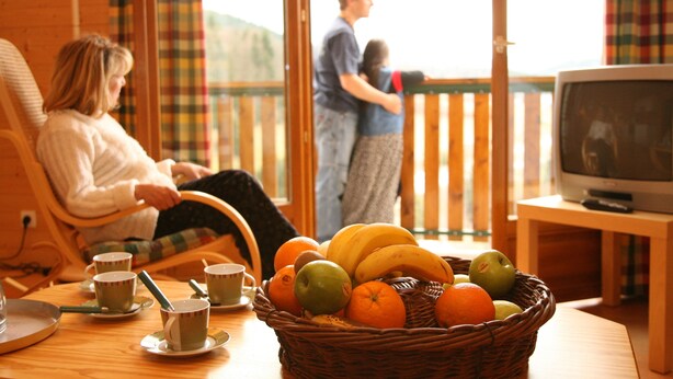 Una sala de estar acogedora con una cesta de mimbre llena de fruta, un televisor y un piso de madera visible a través de la ventana.