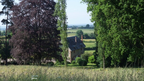 Een huis omringd door weelderige begroeiing en bomen.