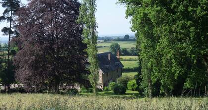 the house from the garden