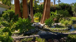 Un jardín ajardinado con palmeras, un pequeño estanque y diversas plantas.