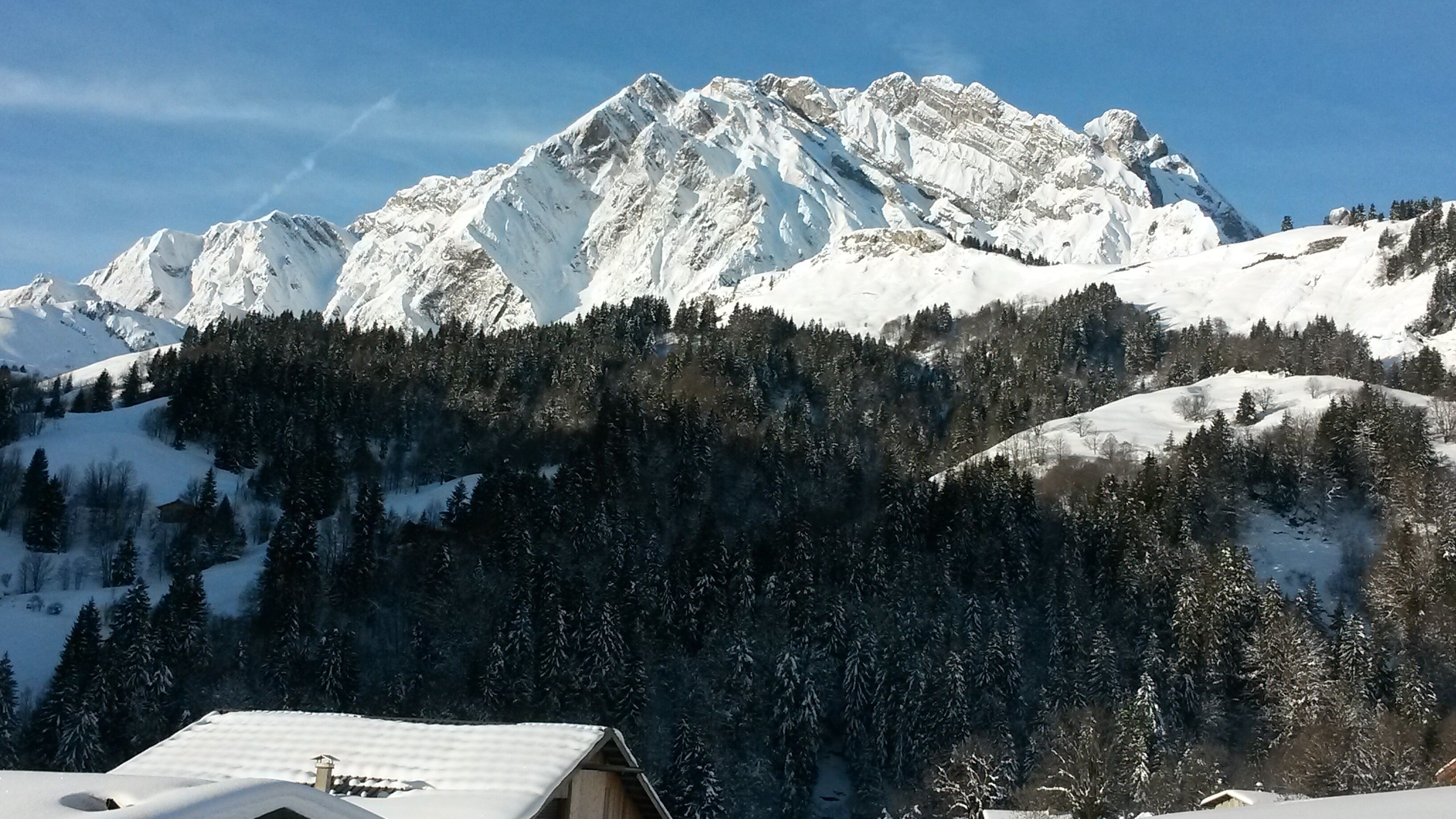 Paisaje montañoso con picos nevados y una zona boscosa.