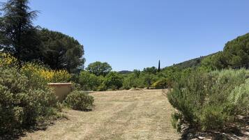 Áreas de la propiedad