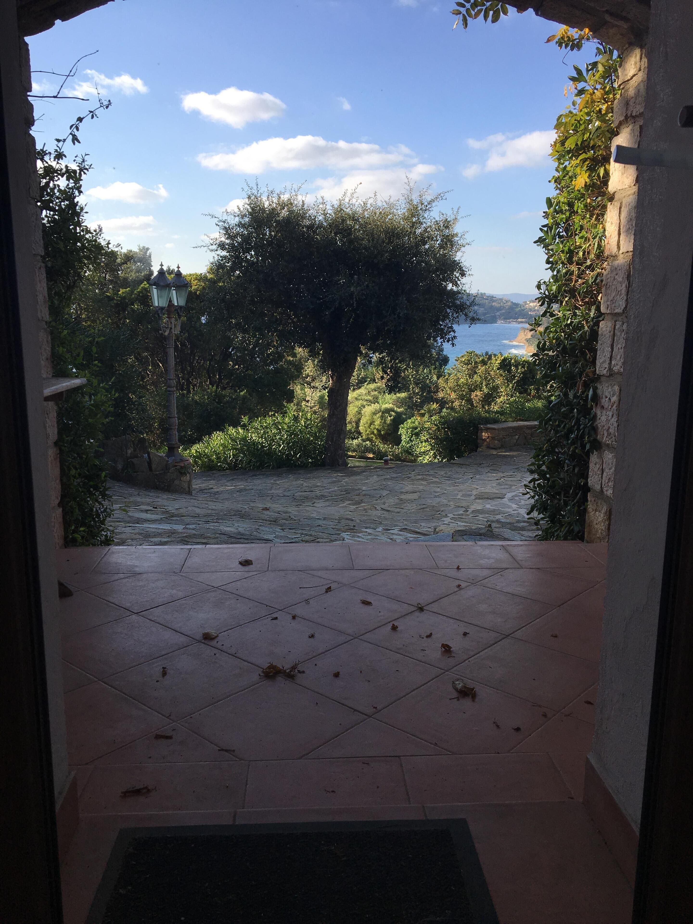 Une cour dallée de pierres, avec vue sur la mer et un arbre.
