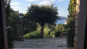 Un pati empedrat amb vistes al mar i un arbre.