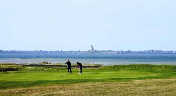 A golf course with a view of a body of water and a distant tower.