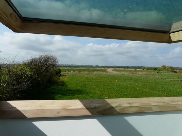 Une vue à travers une fenêtre donnant sur une pièce avec un plancher en bois et un mur blanc.