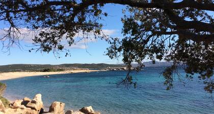 Villa 4*, Le Chêne, private heated pool, 4X4 rental +, sea, air conditioning, internet