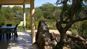 Un espacio al aire libre con techo, con mesa y sillas, rodeado de paisajes naturales y una gran formación rocosa.