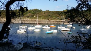 Un port de plaisance où sont amarrés différents types de bateaux, entouré d’arbres et bordé d’une côte rocheuse.