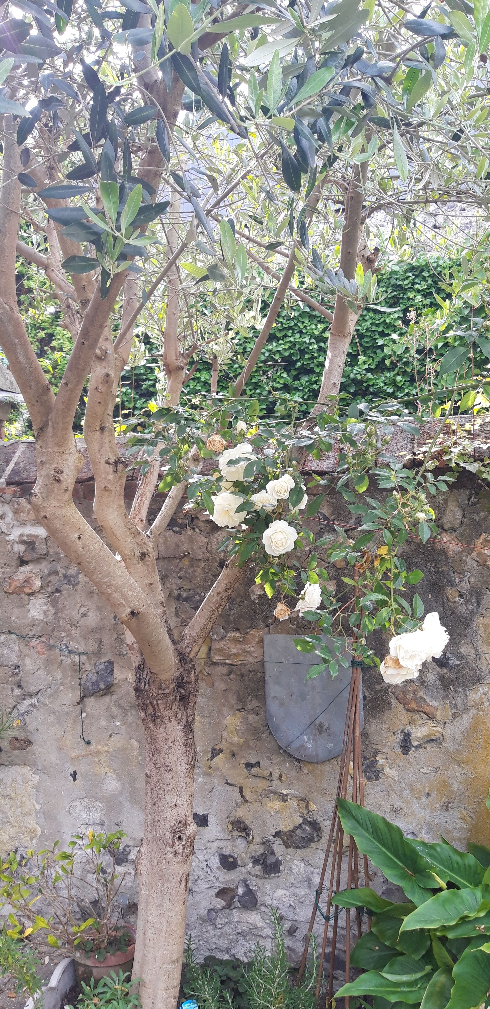 Detalle del exterior