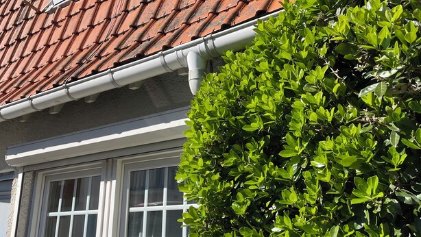 Une maison avec un toit recouvert de tuiles rouges, des encadrements de fenêtres blancs et un arbuste vert devant.