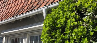 Typical Touquettoise house with garden, center & beach on foot, 5/7p, quiet, pets ok