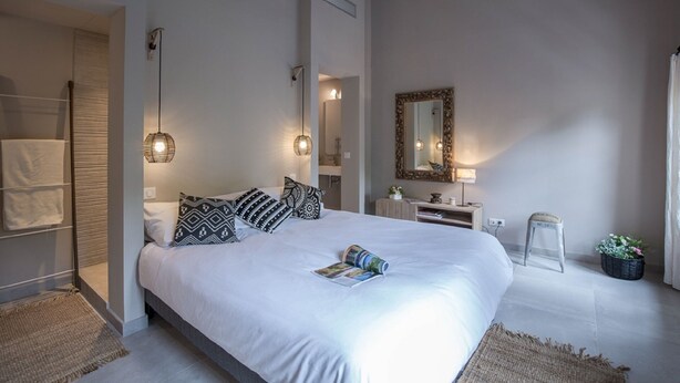 A bedroom with a large bed, bedside lamps, a mirror, a small table, and a potted plant. - ST REMY DE PROVENCE APARTMENTS AND LOFTS (Saint-Rémy-De-Provence)