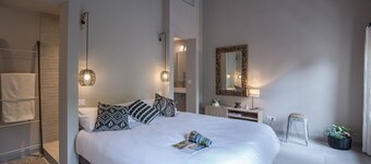 ST REMY DE PROVENCE APARTMENTS AND LOFTS