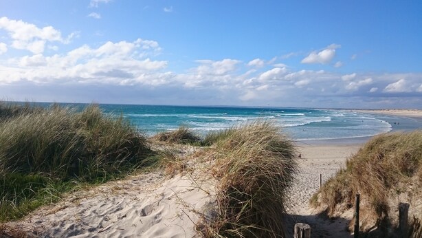 A sandy beach with waves and grassy dunes. - Pretty, well-equipped house, close to the sea and fishing port, ideal for children. (Penmarch)