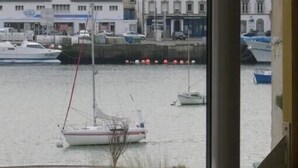 Een jachthaven met verschillende boten afgemeerd, uitzicht op het water en gebouwen op de achtergrond.