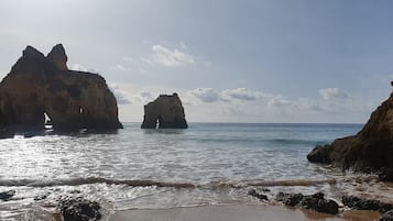 Plage à proximité, chaises longues, serviettes de plage