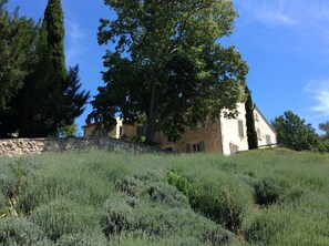 A stone wall and a building with a sloped roof, surrounded by tall trees and a grassy field.