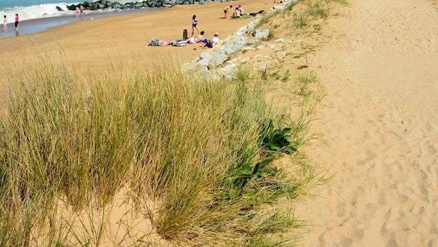 A sandy beach with people walking and sitting, a clear blue sky, and a rocky shoreline. - Beautiful house typical from Oleron (Saint-Pierre-D'oléron)