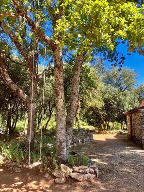 Terrein van de accommodatie