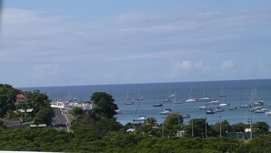 A marina with numerous sailboats docked.